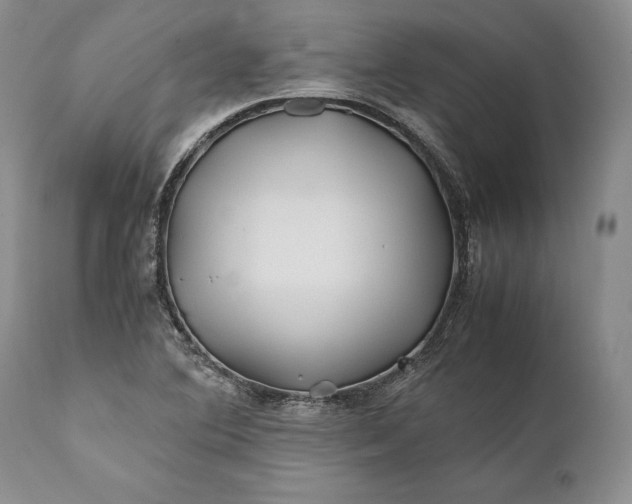 X0000110931364200907021513