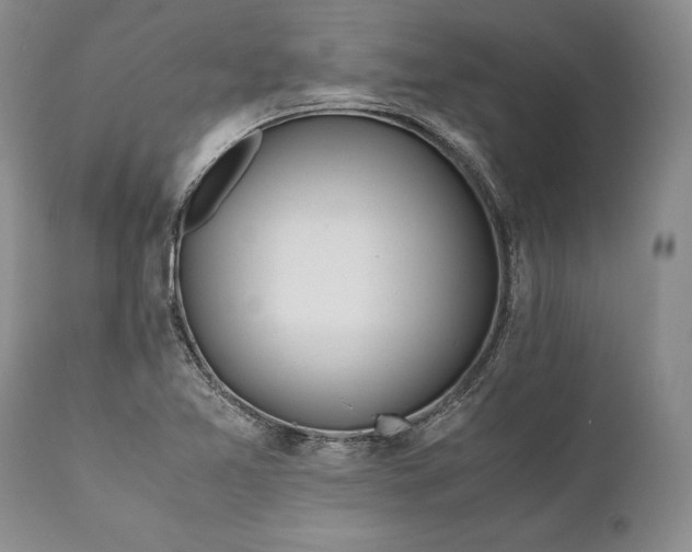 X0000110931365200907021513