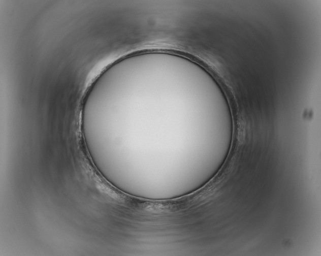 X0000110931366200907021513