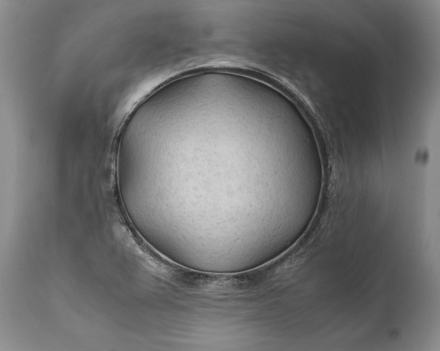 X0000110931367200907021513