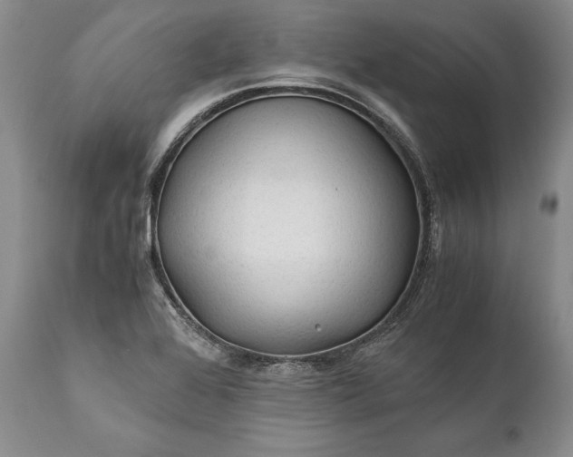 X0000110931368200907021513