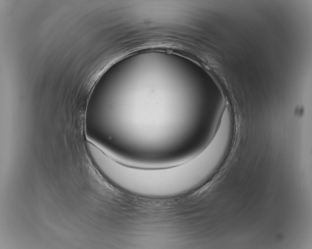 X0000110931369200907021513
