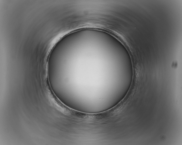 X0000110931371200907021513