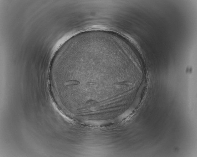 X0000110931373200907021513