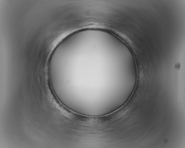 X0000110931375200907021513
