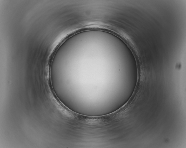 X0000110931376200907021513