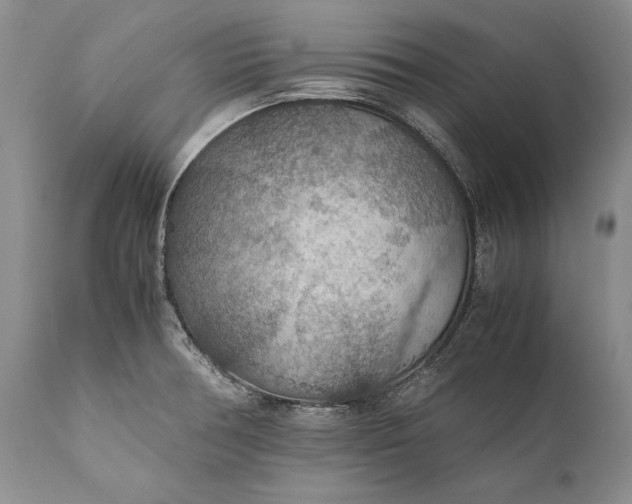 X0000110931378200907021513