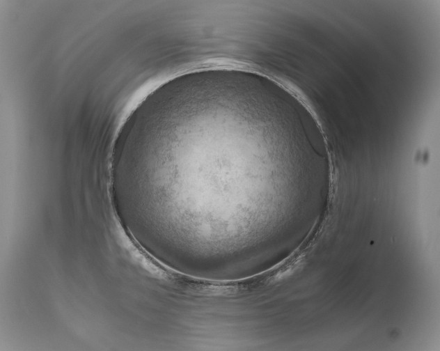 X0000110931381200907021513
