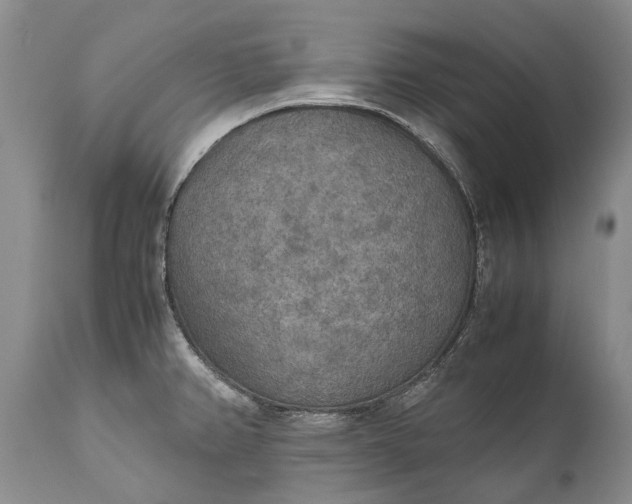 X0000110931382200907021513
