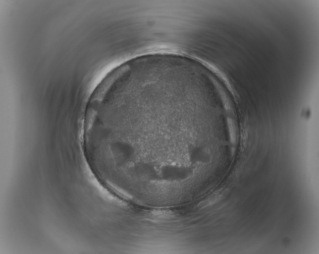 X0000110931383200907021513