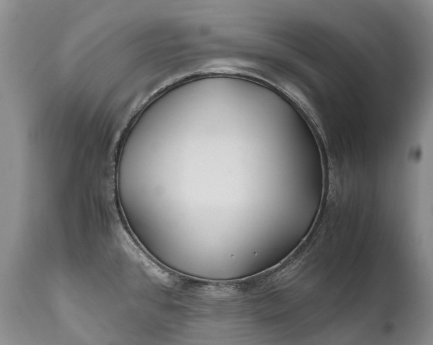 X0000110931384200907021513
