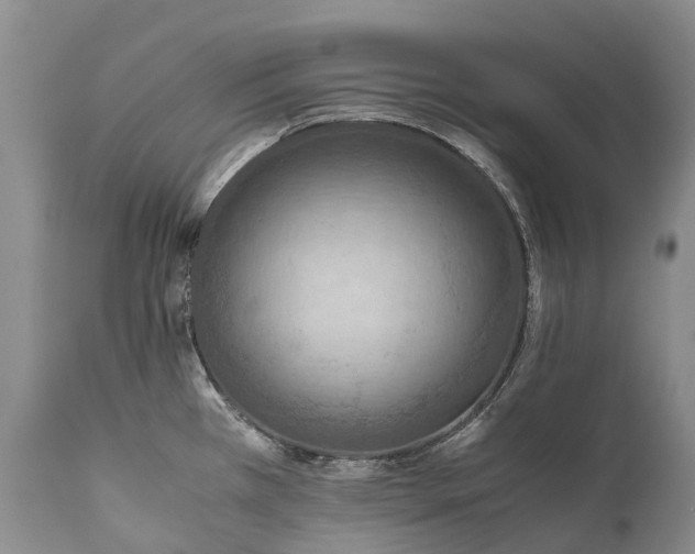 X0000110931385200907021513
