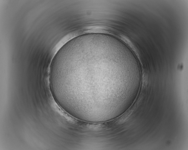 X0000110931386200907021513