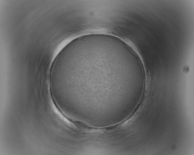 X0000110931389200907021513