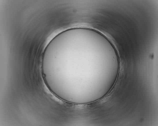 X0000110931390200907021513