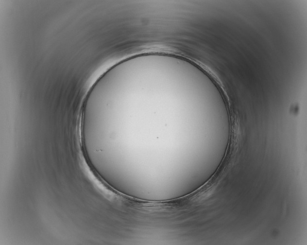 X0000110931391200907021513