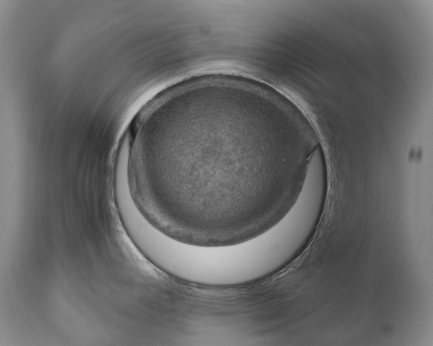 X0000110931392200907021513