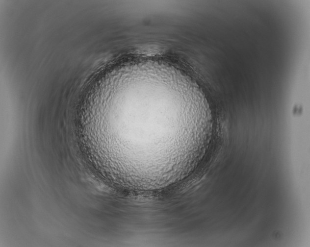 X0000110931393200907021511
