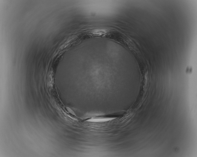 X0000110931394200907021511