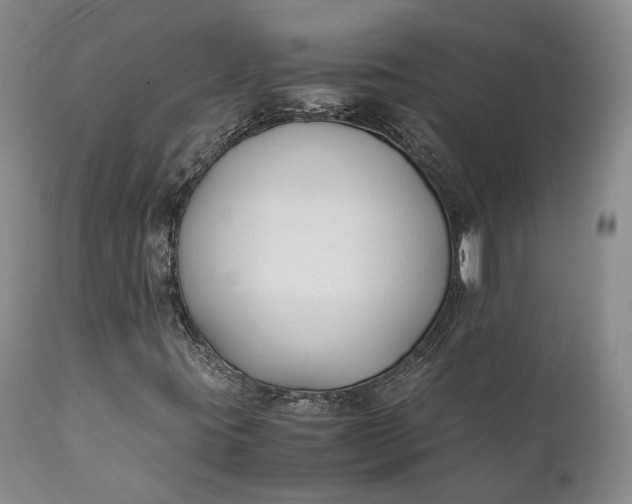 X0000110931395200907021511