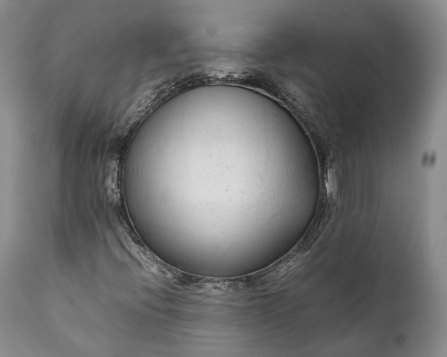 X0000110931396200907021511
