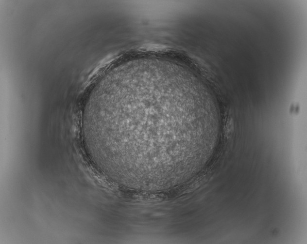 X0000110931397200907021511