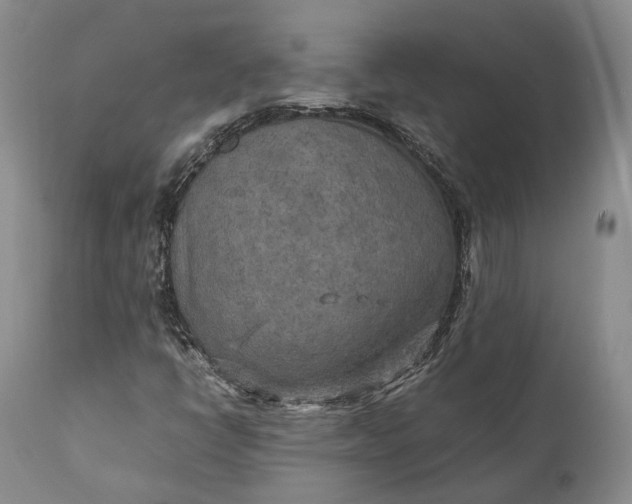 X0000110931398200907021511