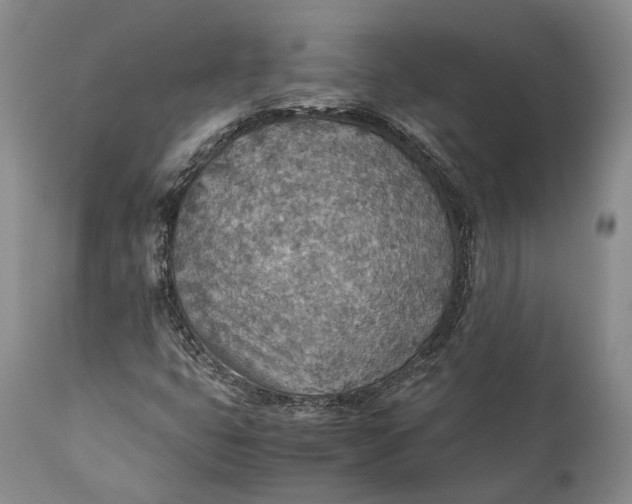 X0000110931399200907021512