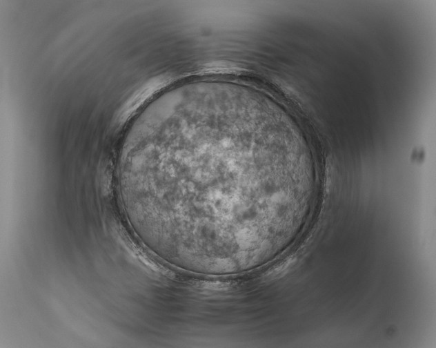 X0000110931401200907021512