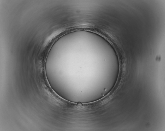 X0000110931402200907021512