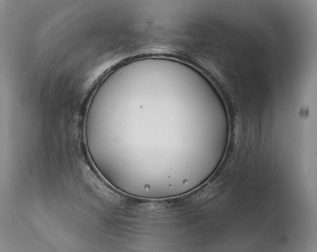 X0000110931404200907021512