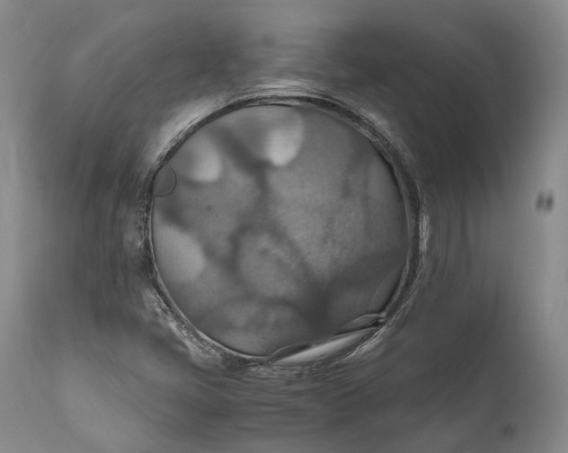 X0000110931405200907021512