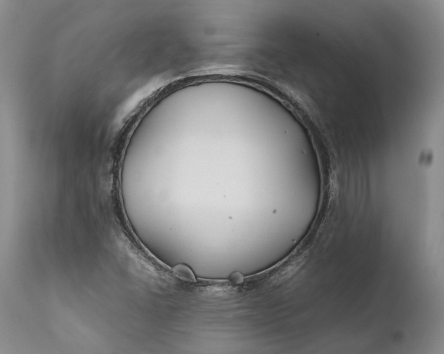 X0000110931406200907021512