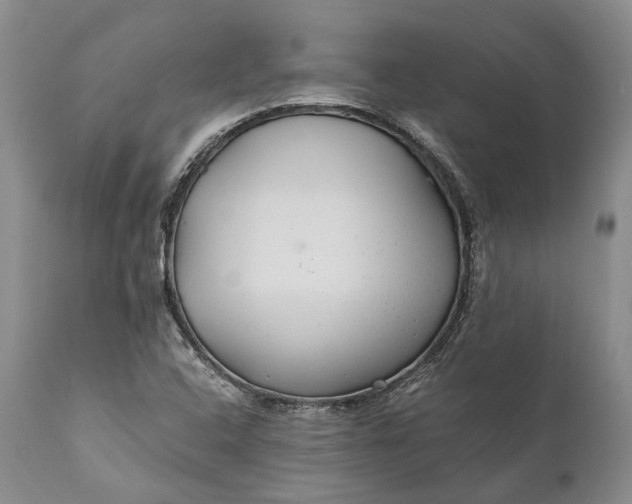 X0000110931408200907021512