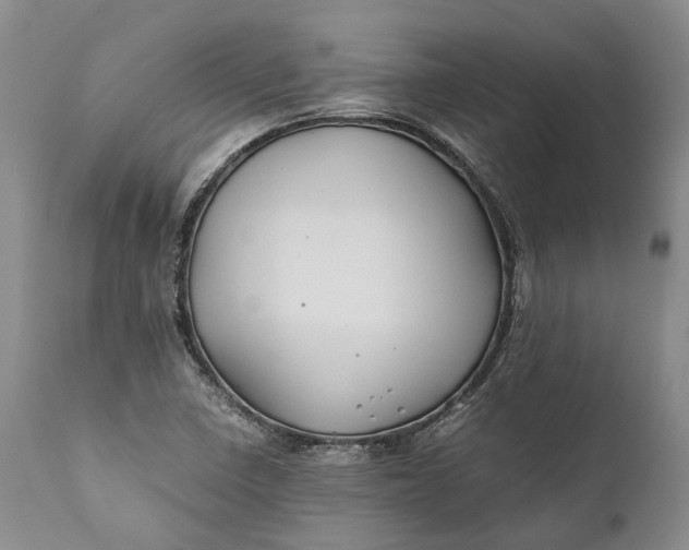 X0000110931410200907021512