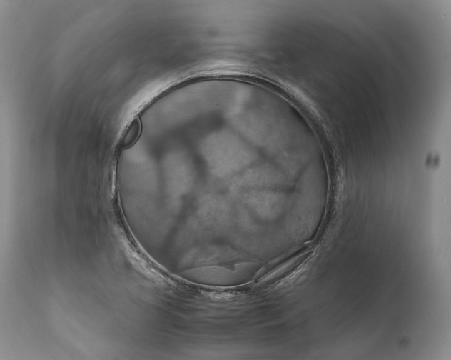 X0000110931413200907021512