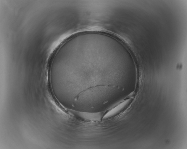 X0000110931414200907021512