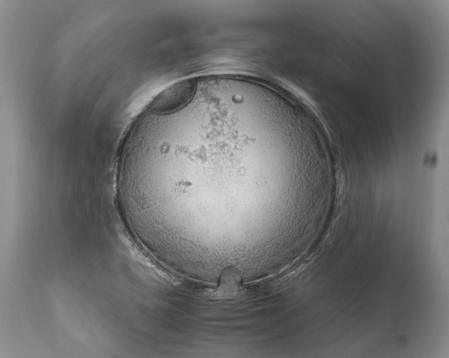 X0000110931415200907021512