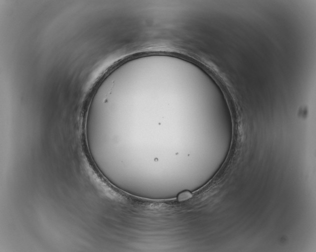 X0000110931416200907021512