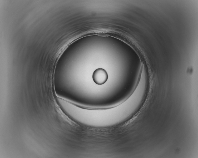 X0000110931417200907021512