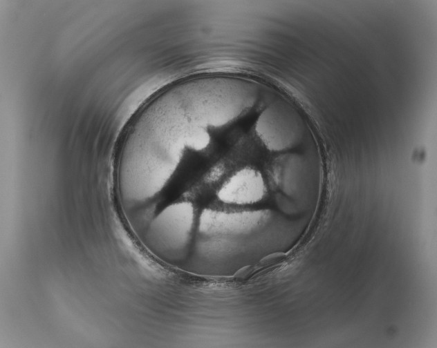 X0000110931418200907021512