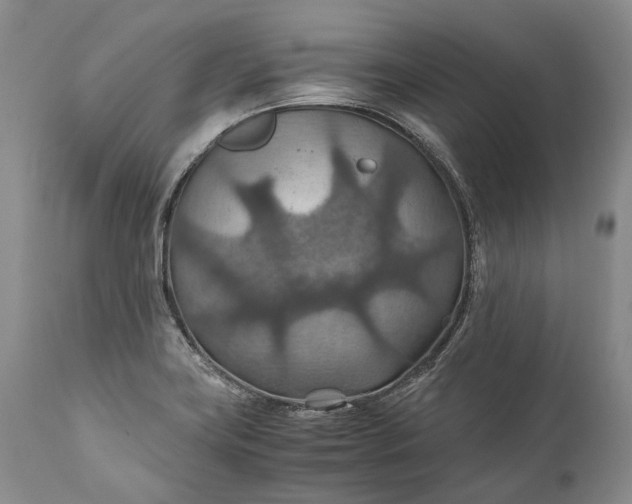 X0000110931419200907021512