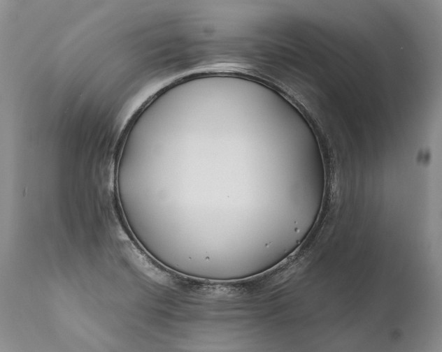 X0000110931420200907021512