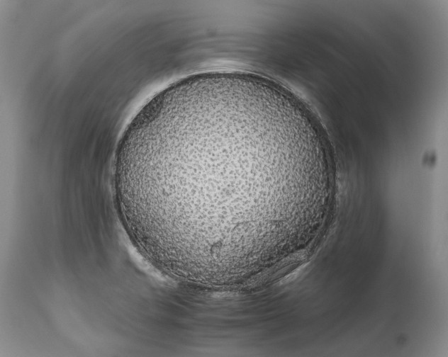 X0000110931421200907021512
