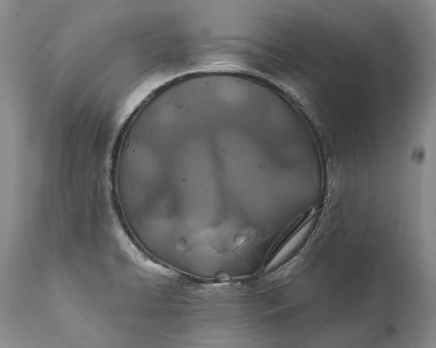 X0000110931422200907021512
