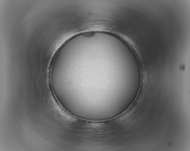 X0000110931423200907021512