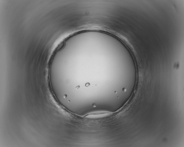 X0000110931424200907021512
