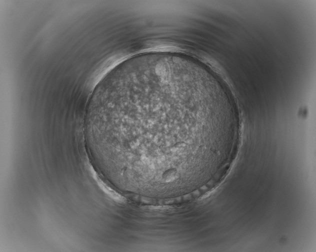 X0000110931425200907021512