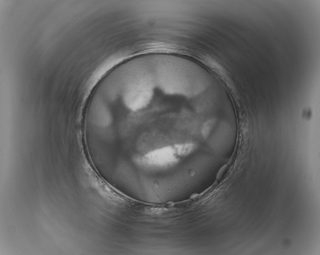 X0000110931427200907021512