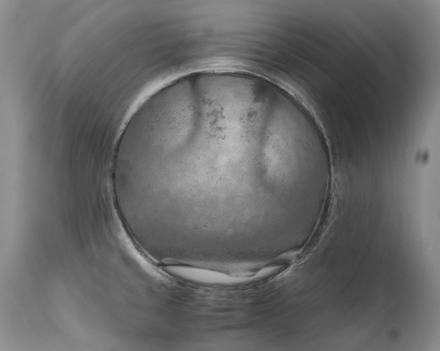 X0000110931429200907021512